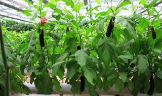 女性创业项目排行榜 女性创业项目排行榜